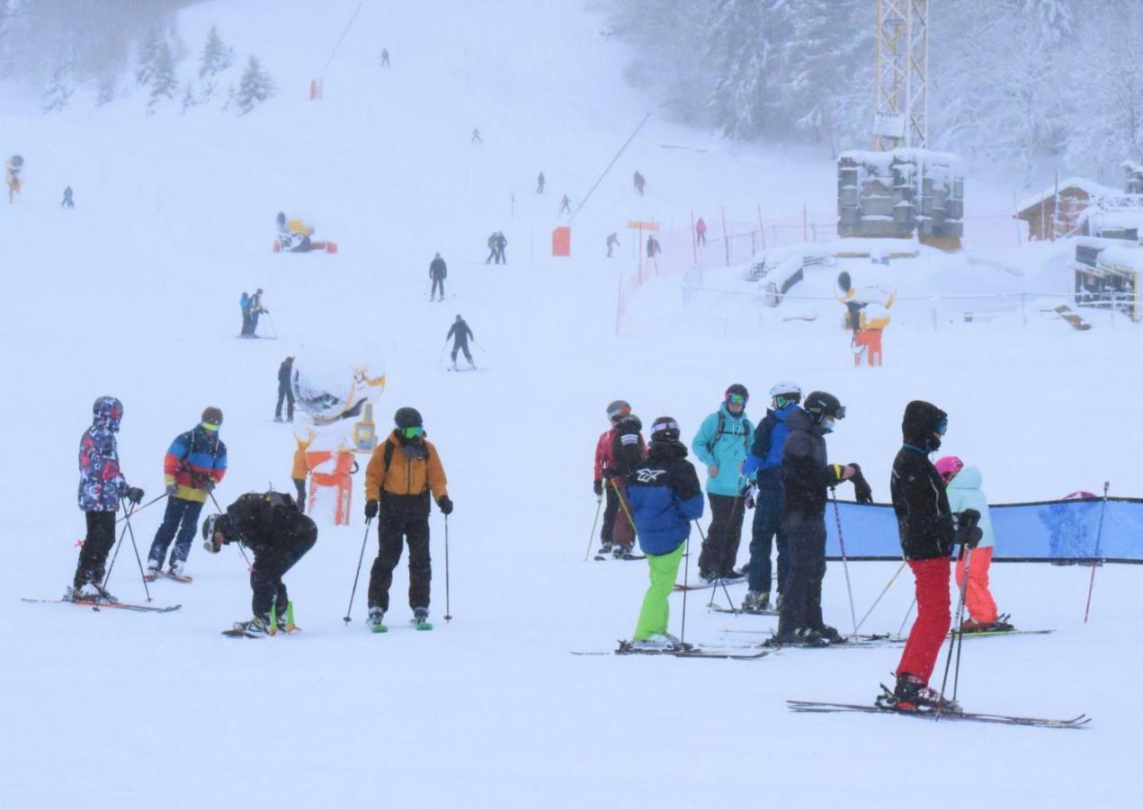 Place Royale Pour 10 A 12 Personnes A 30 Met Des Pistes De Ski Et Vtt Metabief Bagian luar foto