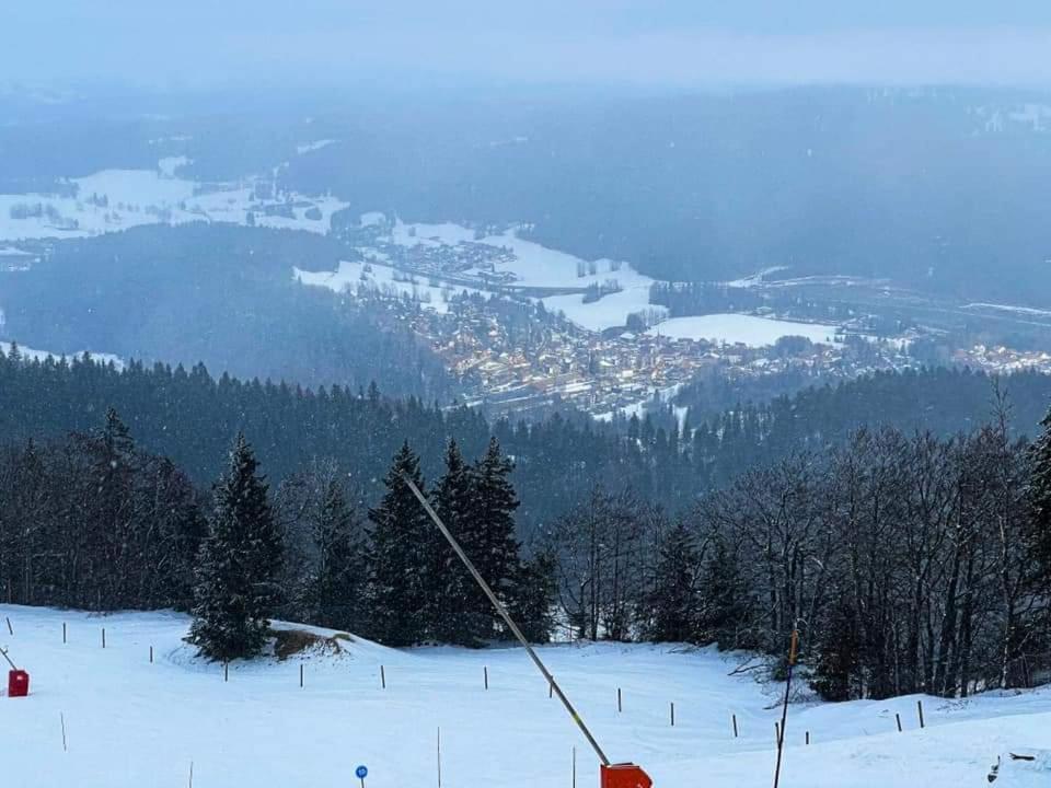 Place Royale Pour 10 A 12 Personnes A 30 Met Des Pistes De Ski Et Vtt Metabief Bagian luar foto