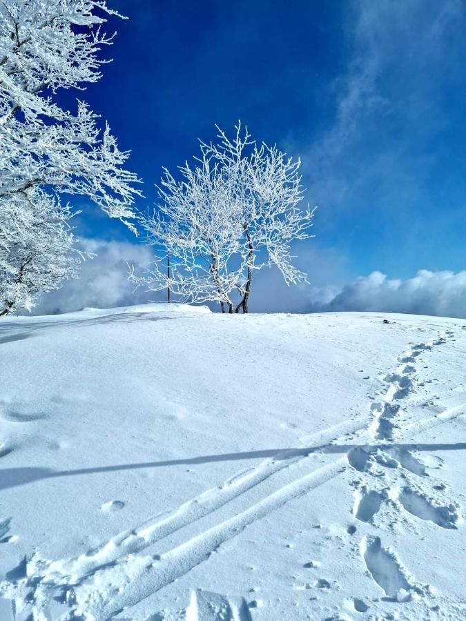 Place Royale Pour 10 A 12 Personnes A 30 Met Des Pistes De Ski Et Vtt Metabief Bagian luar foto