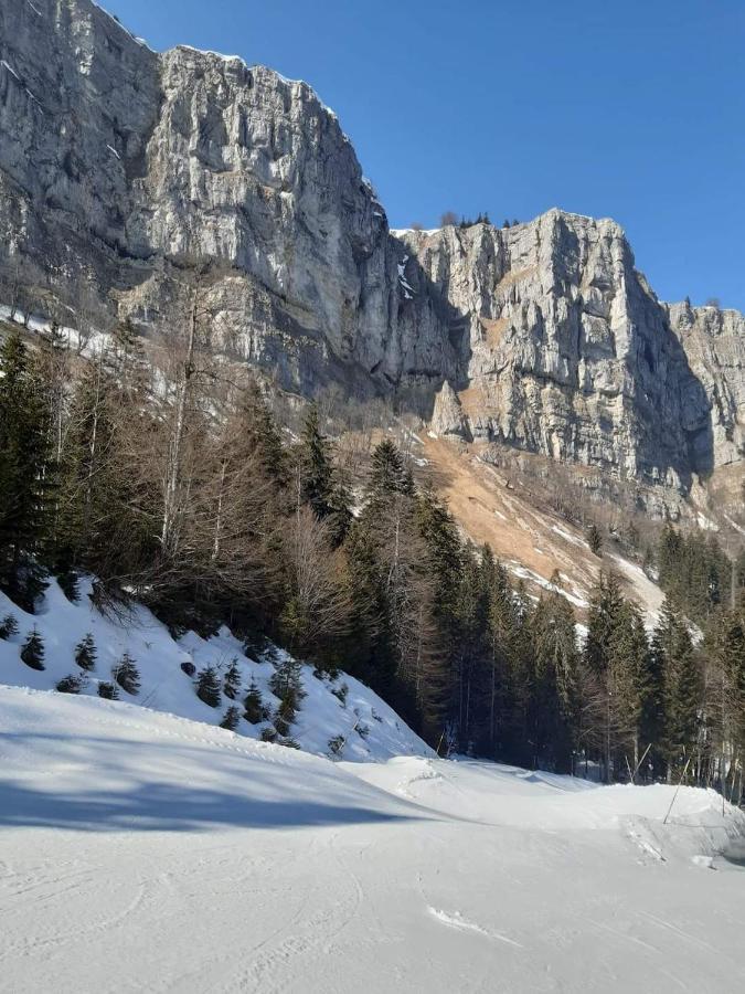 Place Royale Pour 10 A 12 Personnes A 30 Met Des Pistes De Ski Et Vtt Metabief Bagian luar foto