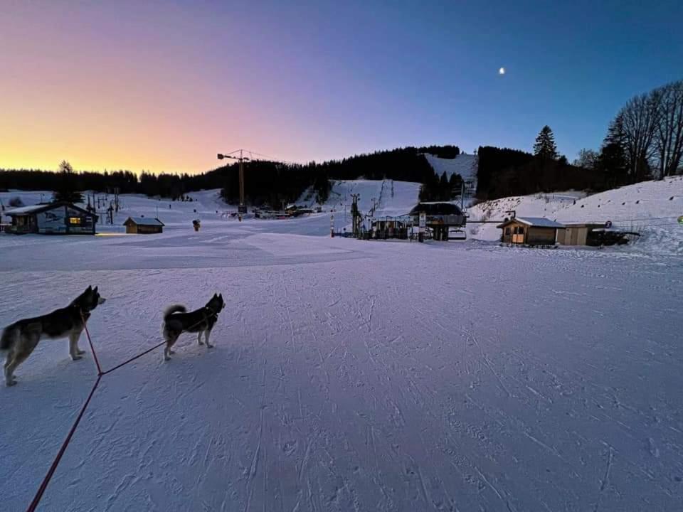 Place Royale Pour 10 A 12 Personnes A 30 Met Des Pistes De Ski Et Vtt Metabief Bagian luar foto
